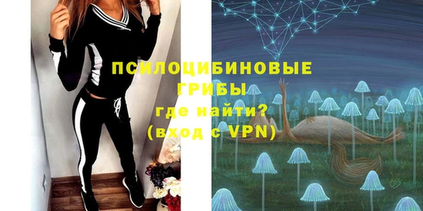 не бодяженный Верхний Тагил
